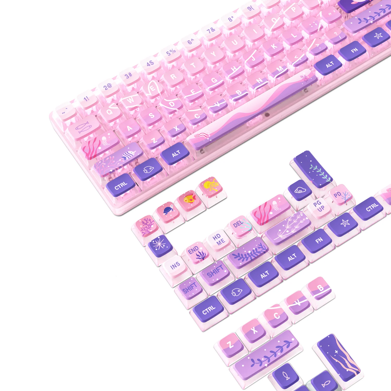 Product image 48